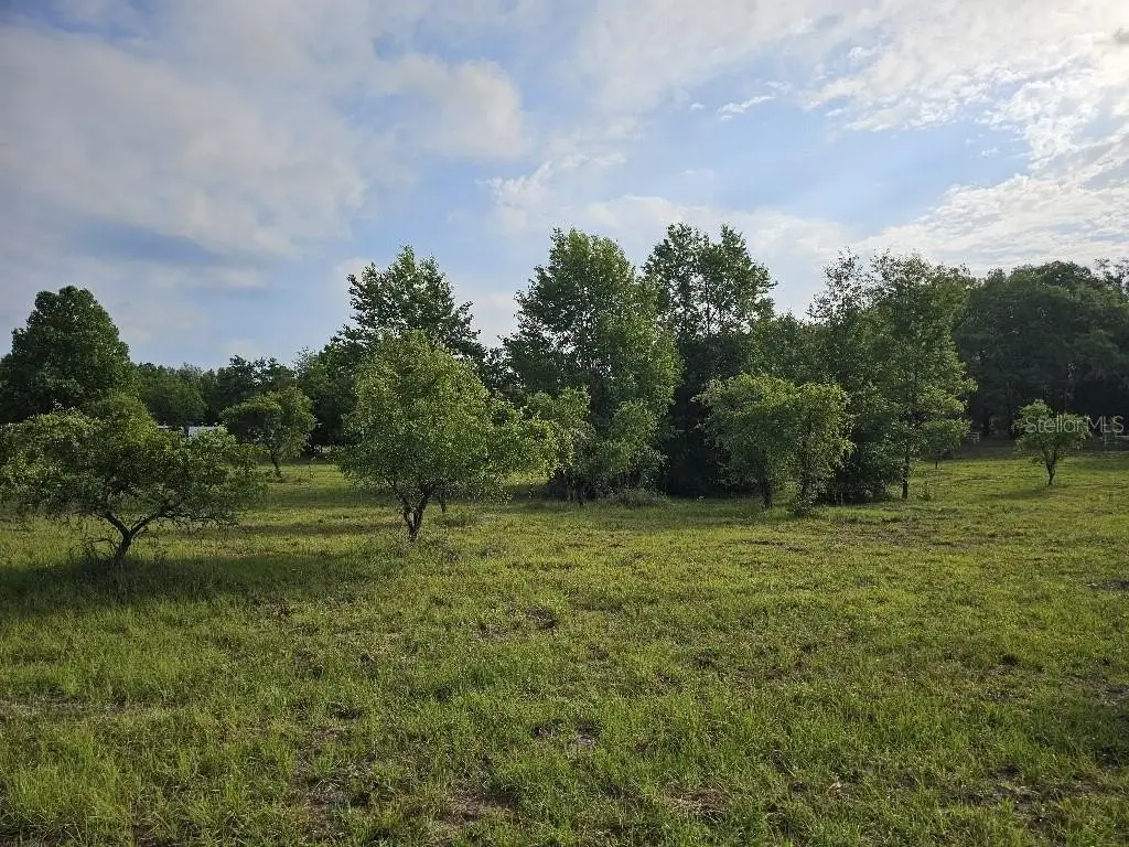 Picture 6