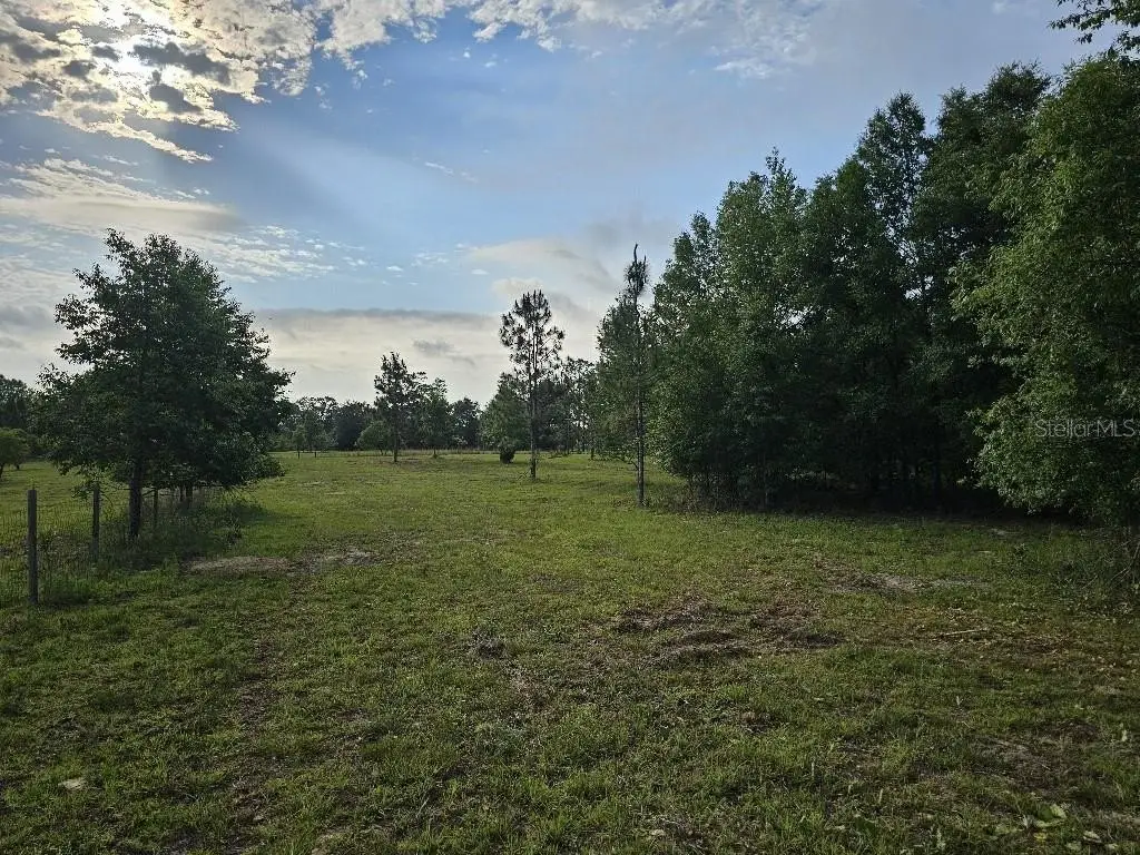 Picture 19