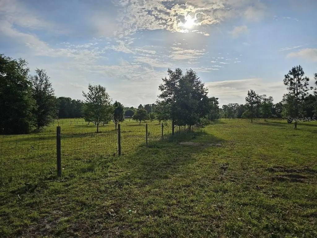 Picture 27