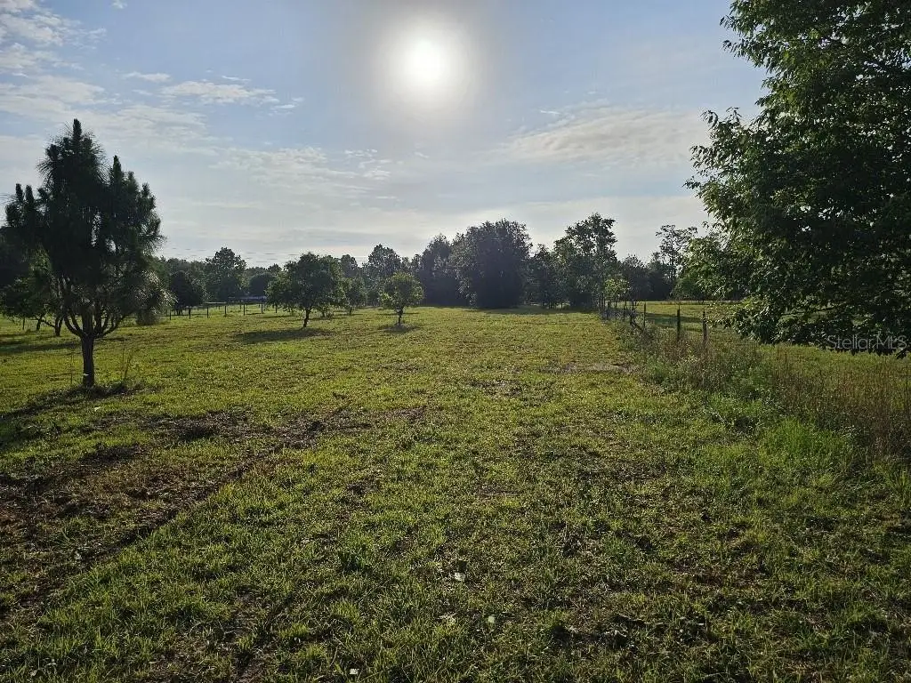 Picture 41