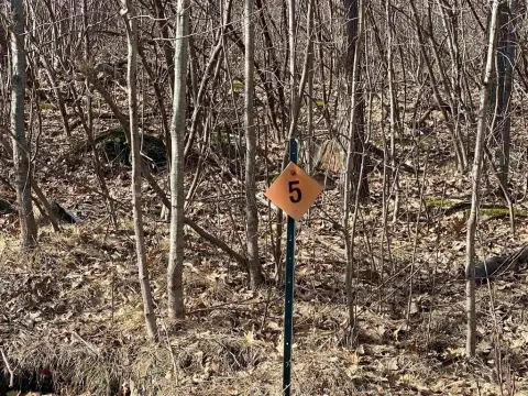 Wooded Lot for Dream Home