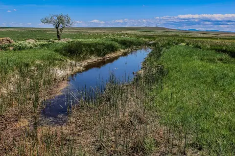 165 Acres Near Cascade, MT