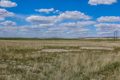 201+ Acre Montana Land