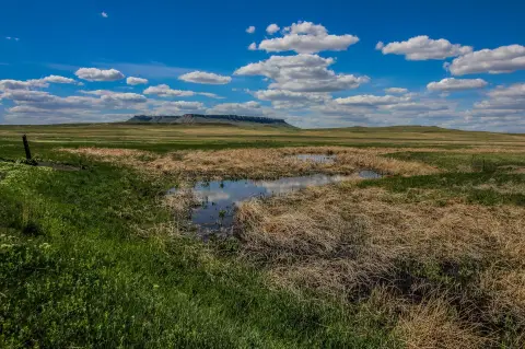Montana Land with Creek Frontage