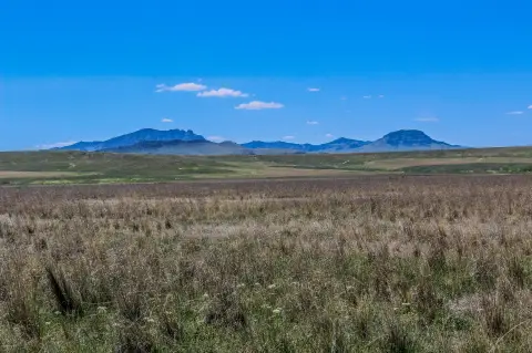 40 Acres with Creek Frontage