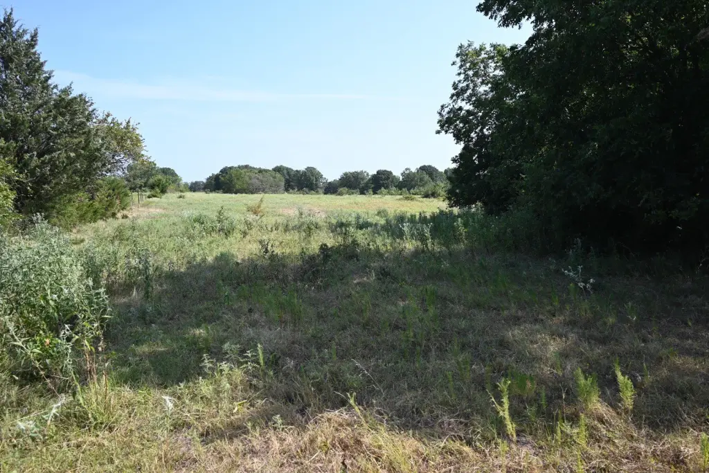 Picture 19