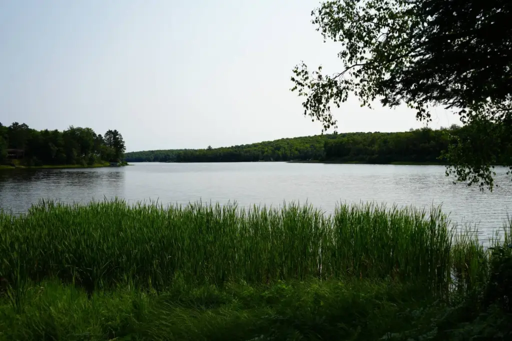 Picture 10