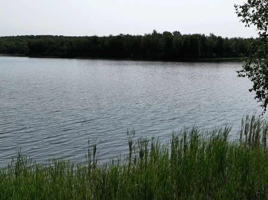 Picture 22