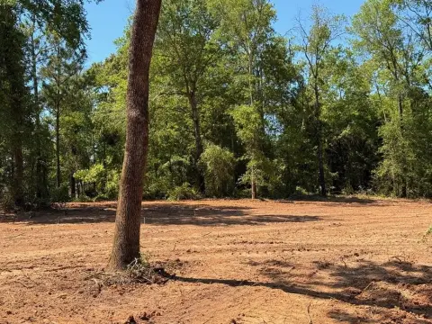 Waterfront Land in Eustace, TX