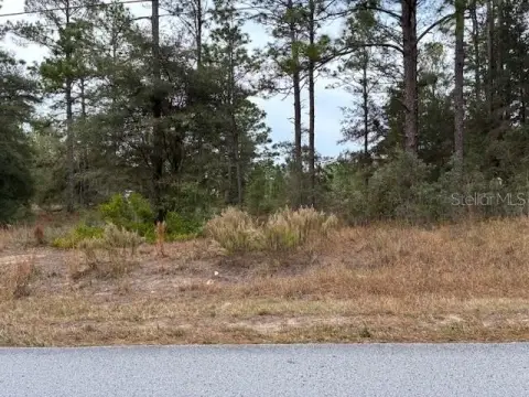 Residential Lot in Dunnellon