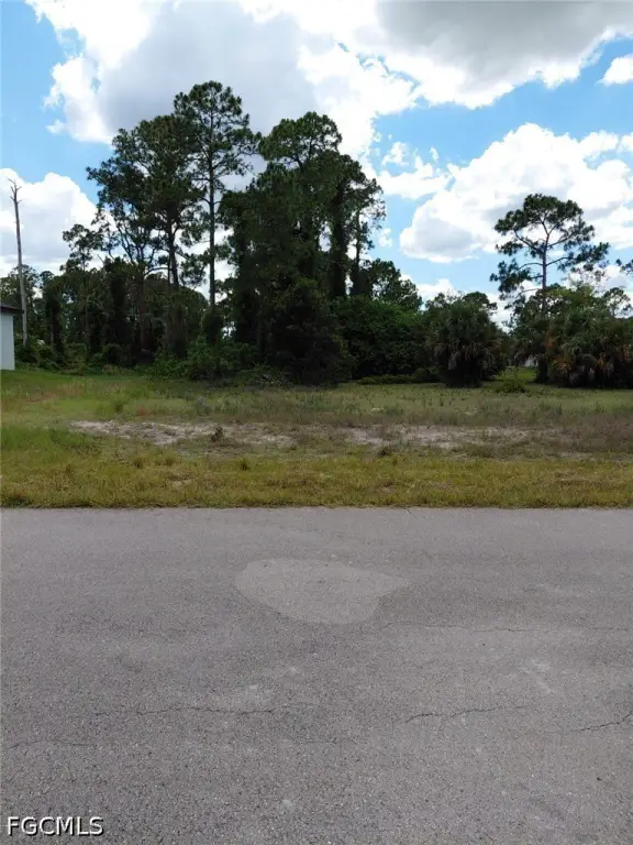 Picture 6
