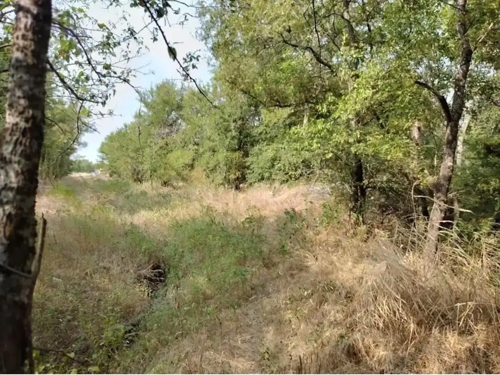 Picture 16