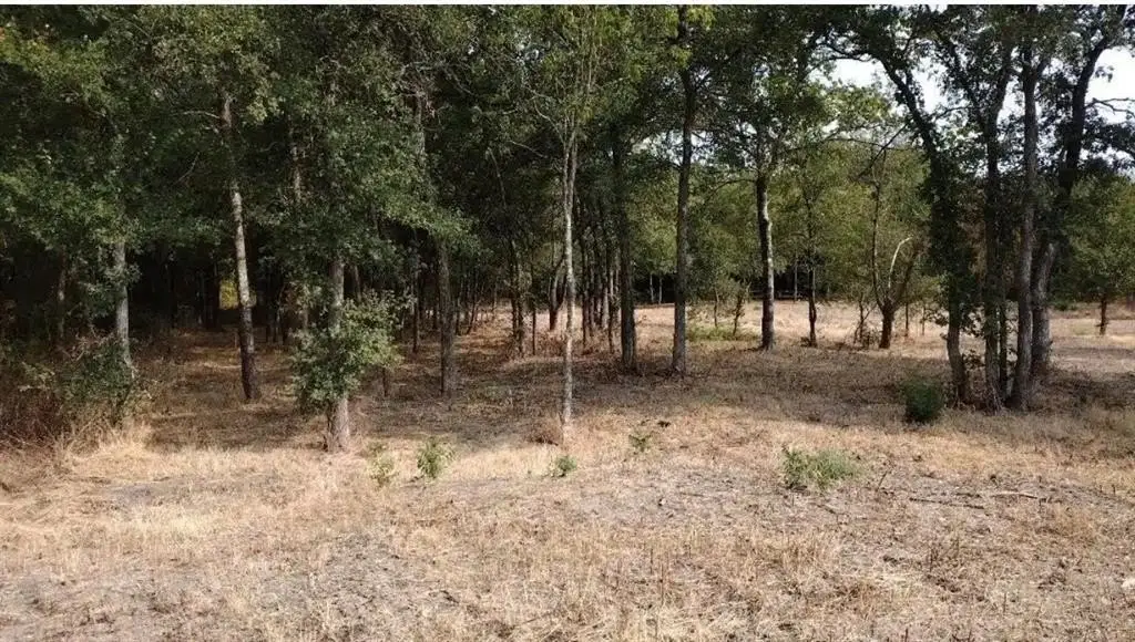 Picture 21