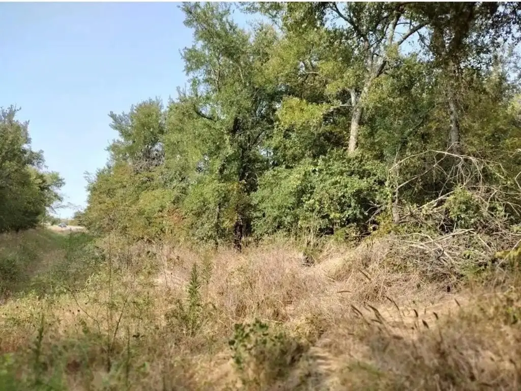Picture 17