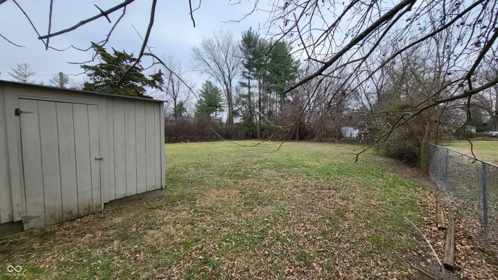 Picture 14
