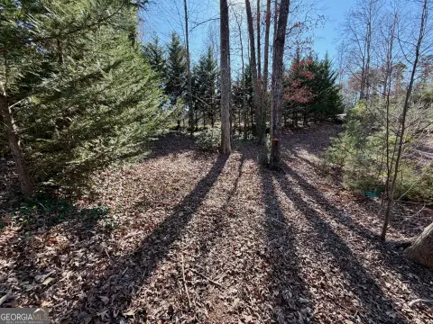 Lake Hartwell View Land