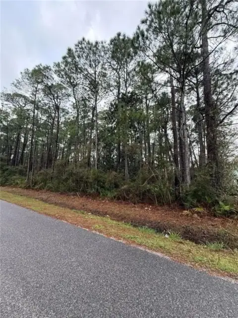 Dauphin Island Land Opportunity