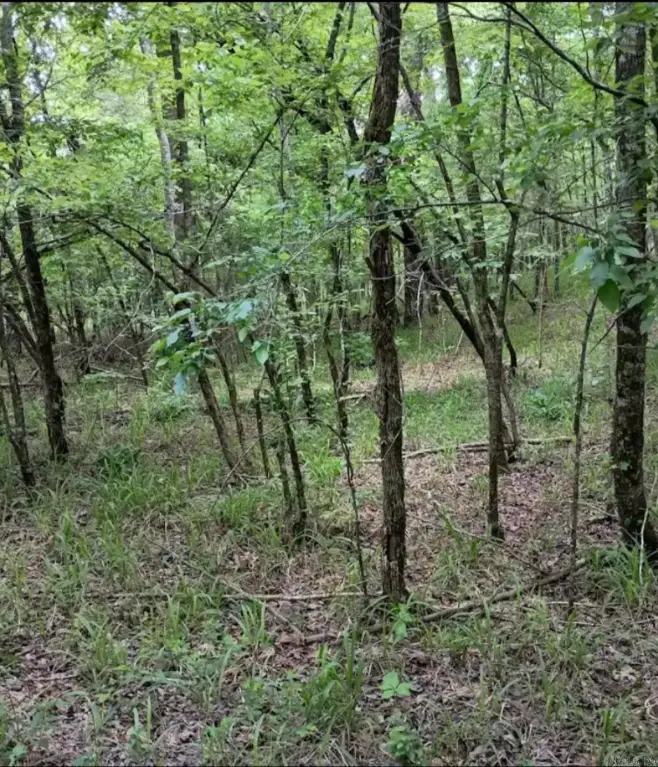 Picture 42