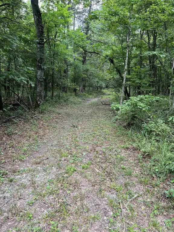 Picture 16