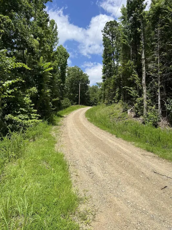 Picture 24