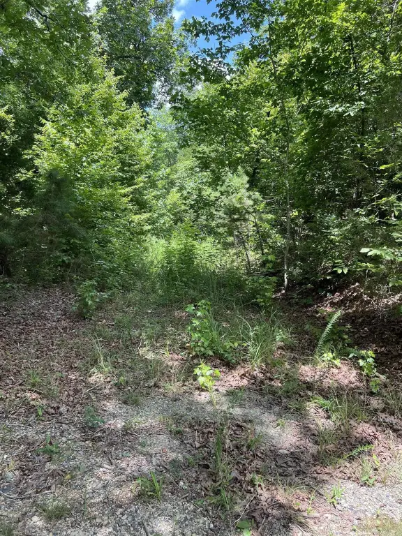 Picture 22