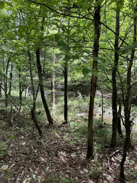 Picture 13
