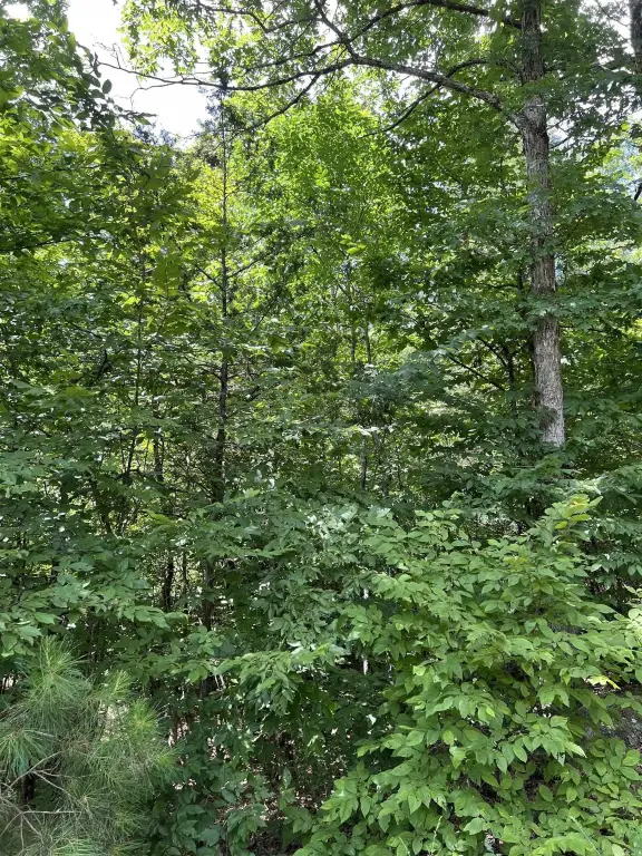 Picture 18