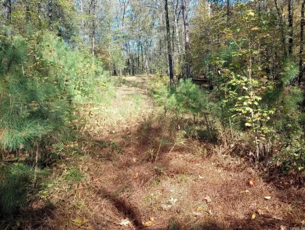 Picture 37