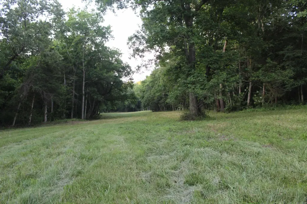 Picture 23