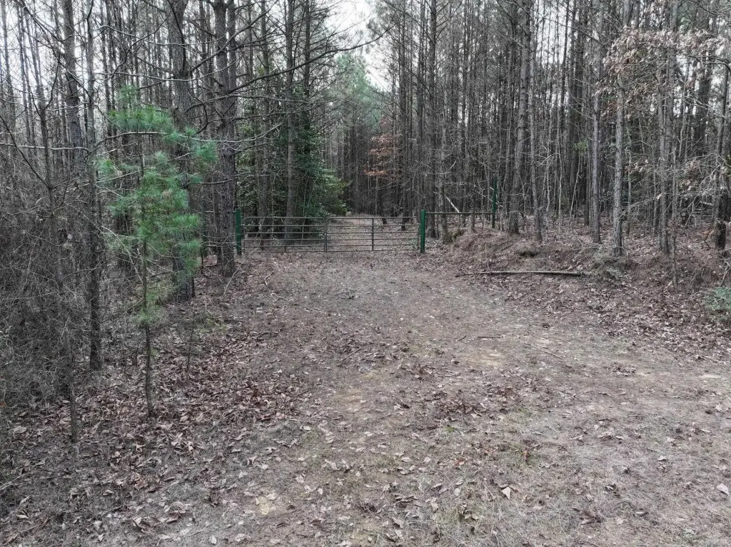 Picture 36