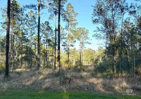 Elberta Land Parcel: Three Acres