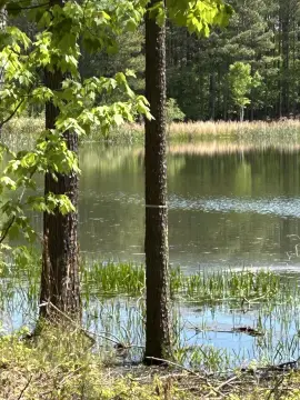 Large Lot in Jasper Highlands