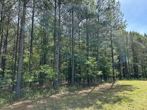 Private Wooded Lot in Jasper