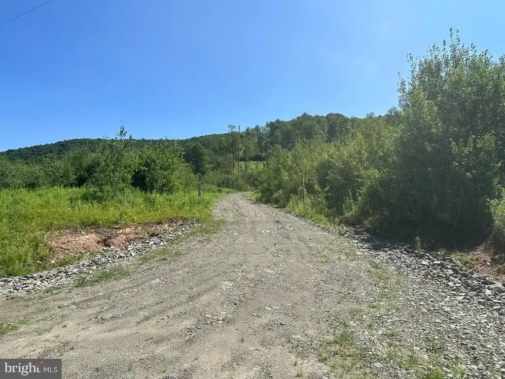 Picture 19