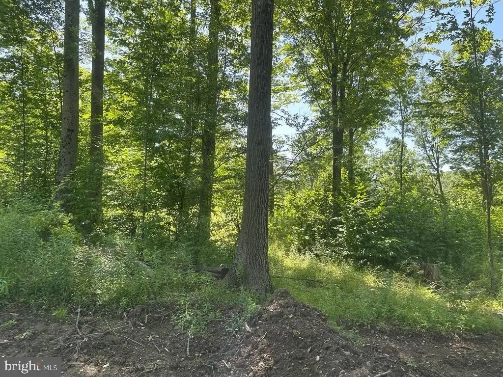 Picture 17