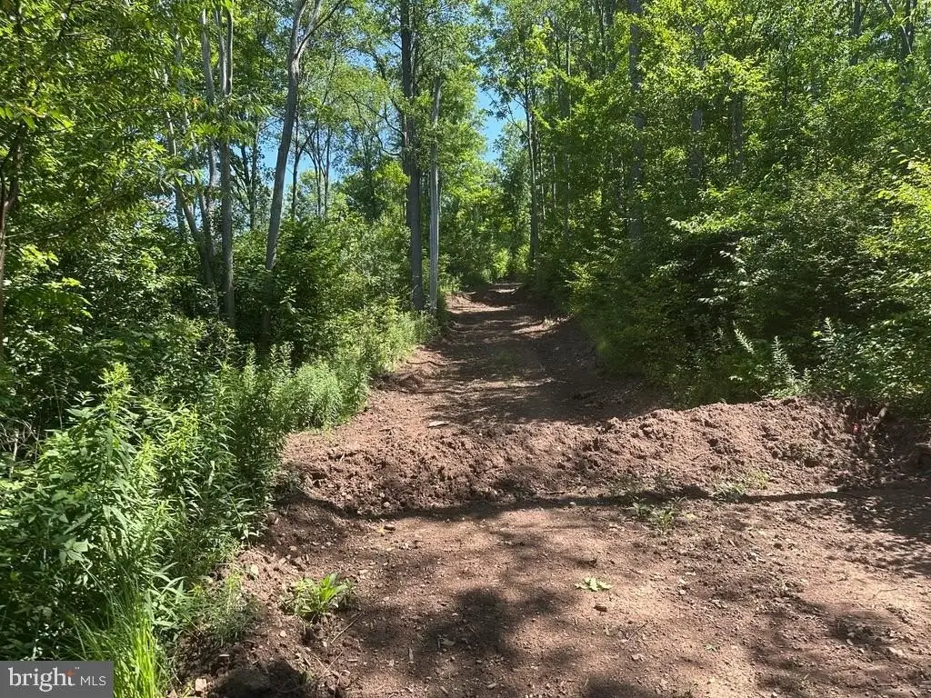 Picture 22