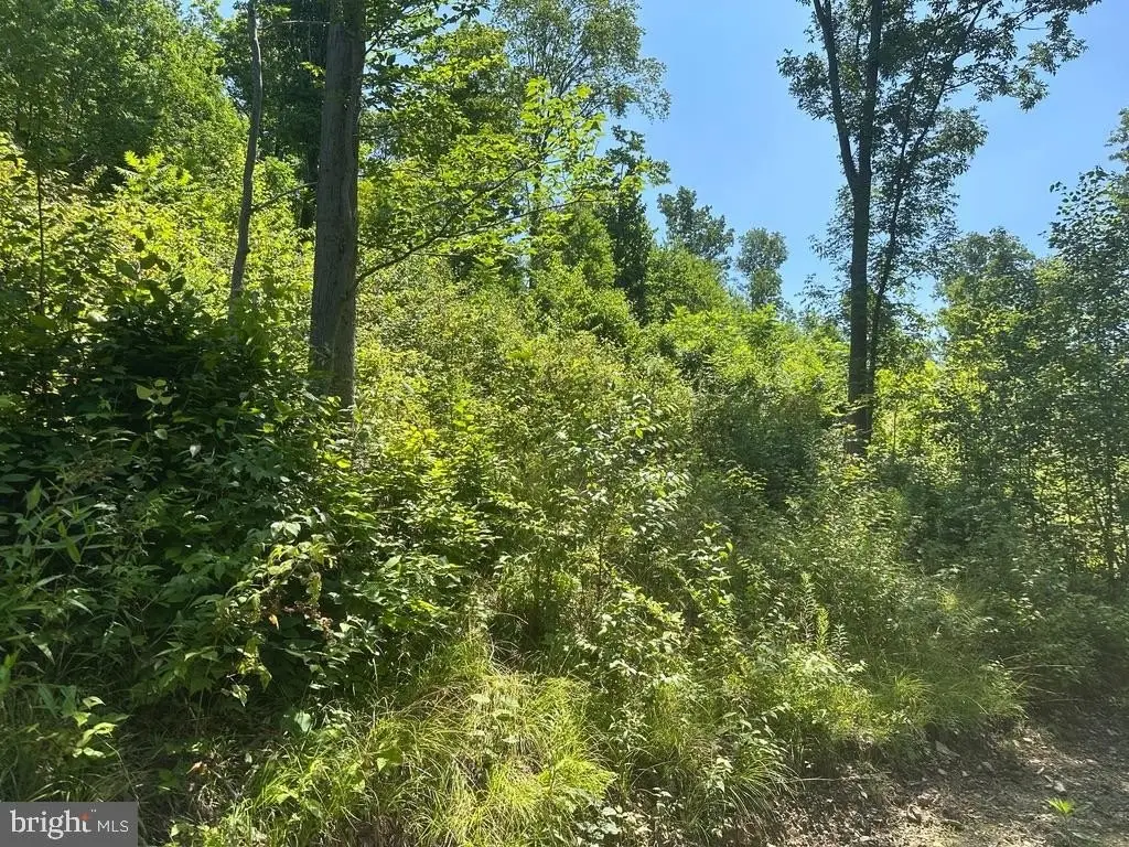 Picture 23