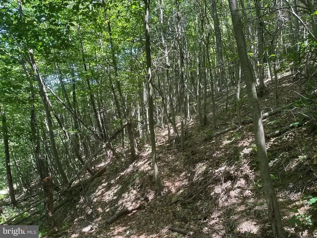 Picture 5