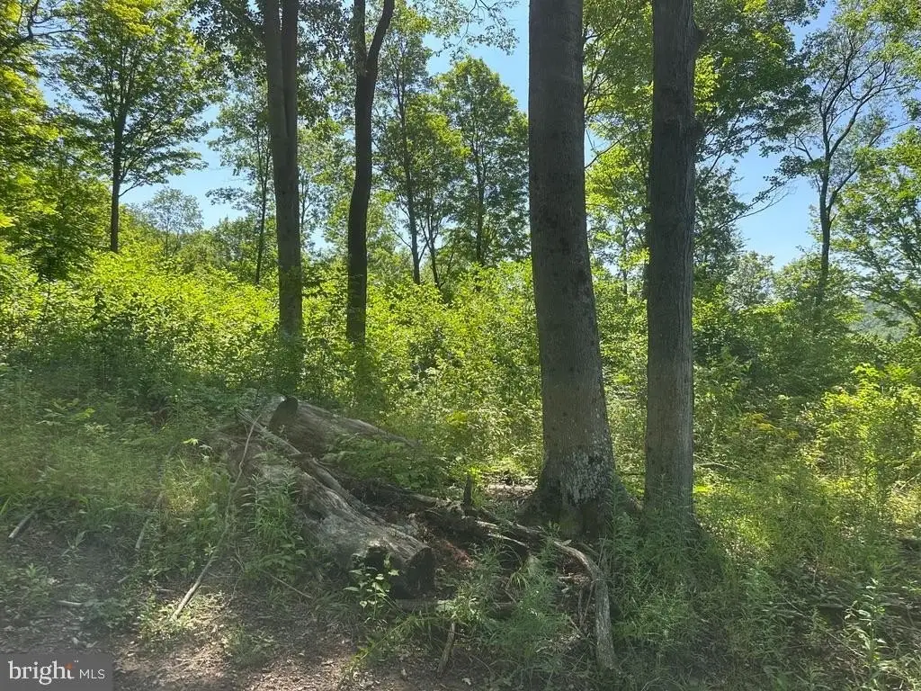 Picture 18