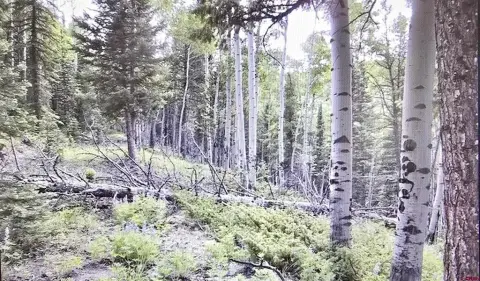 Mountain Recreational Land in Cimarron