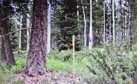 Mountain Land in Arrowhead Ranch