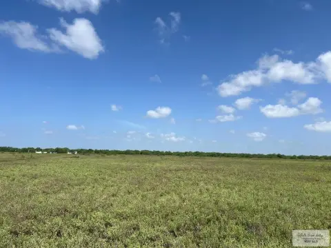Land Near Los Fresnos, TX