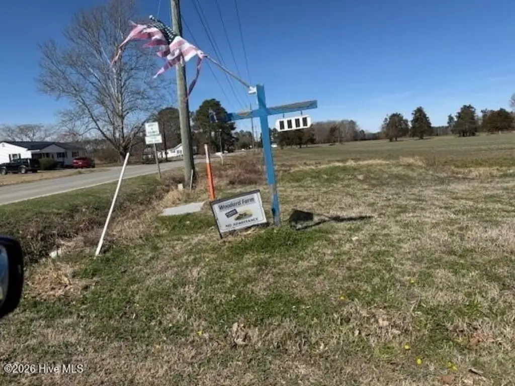 Picture 14