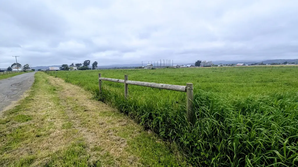 Picture 6