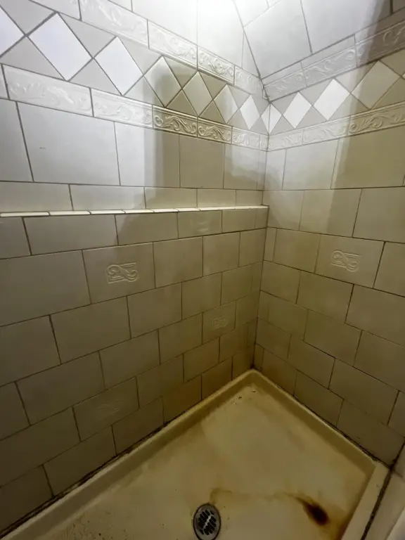 Picture 16