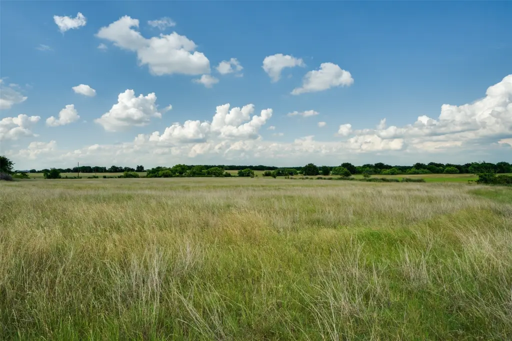 Picture 37