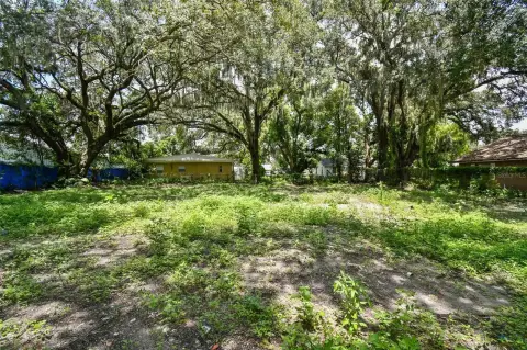 Plant City Land Opportunity