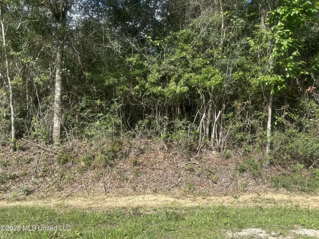 Picture 2