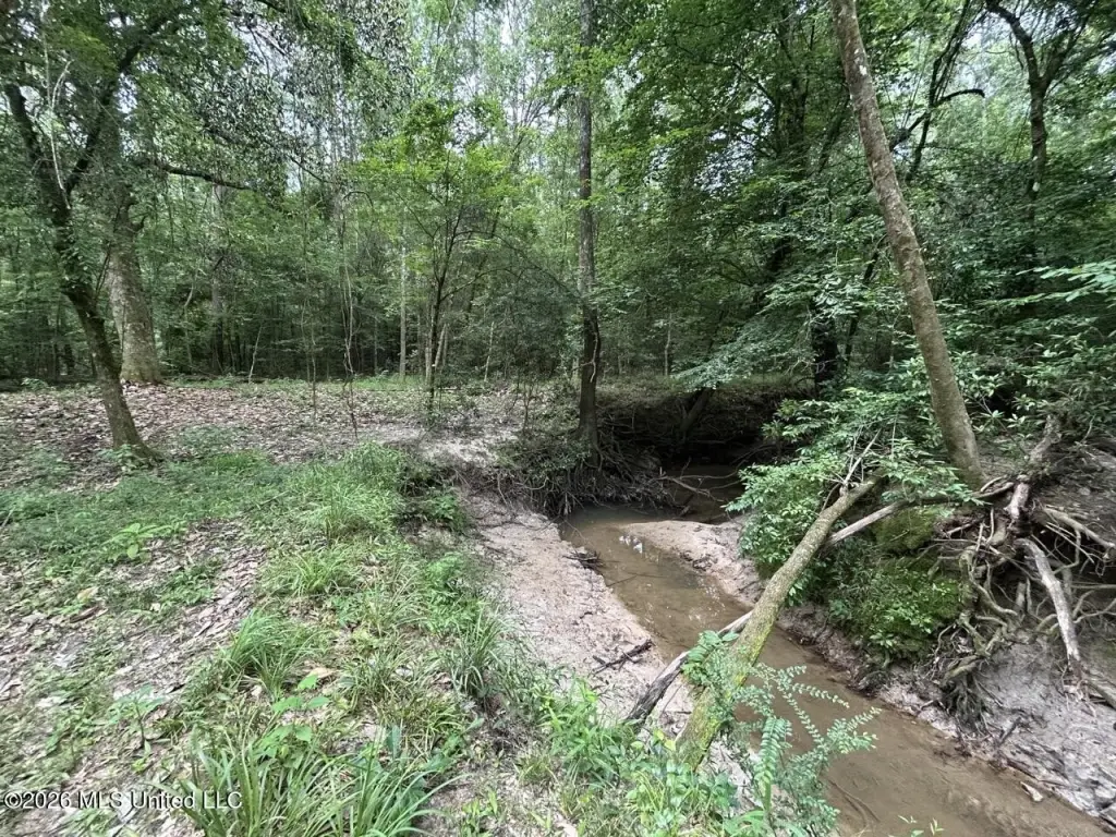 Picture 25
