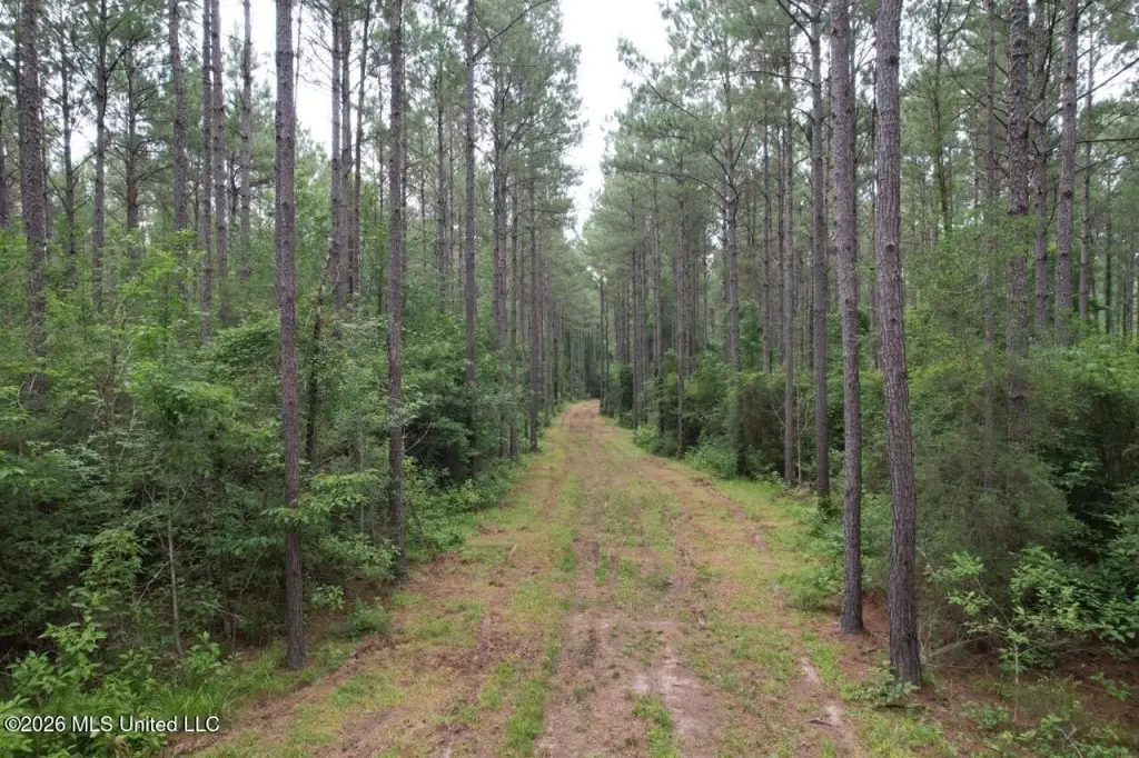 Picture 39